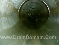 drain inspection